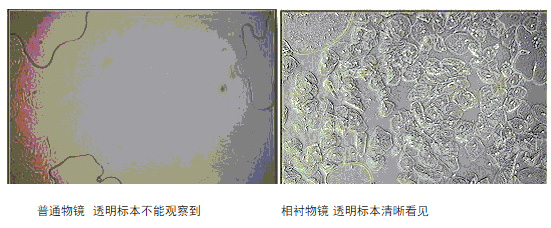 數(shù)碼型BPH-200Z 數(shù)碼型BPH-200Z